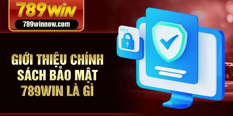 Giới thiệu chính sách bảo mật 789win là gì