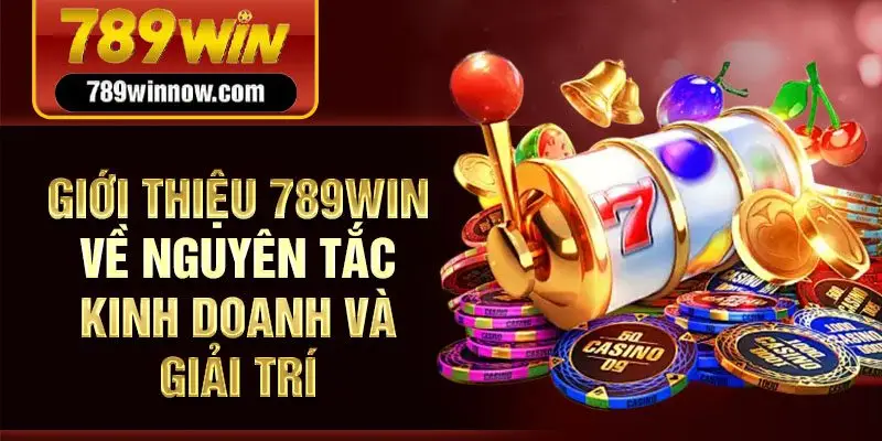 Giới thiệu 789Win về nguyên tắc kinh doanh và giải trí